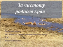 Презентация проекта За чистоту родного края