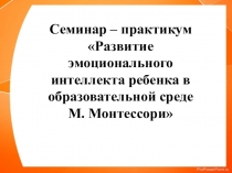 Презентация по Эмоциональному интеллекту
