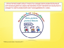 Практический опыт работы общеобразовательных организаций по обеспечению получения начального общего образования обучающимися с ОВЗ