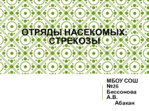 Отряды насекомых