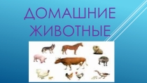 Призентация на тему домашние животные