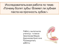 Исследовательская работа по теме: Почему болят зубы? Влияет ли зубная паста на прочность зубов?