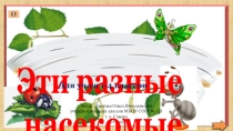 Презентация по окружающему миру на тему  Насекомые