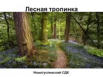 Презентация лесная тропинка Летний оздоровительный лагерь