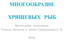 Презентация по биологии Многообразие хрящевых рыб