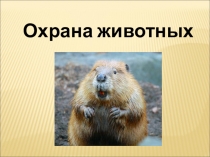 Презентация по окружающему миру на тему Охрана животных (3 класс)