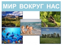 Презентация Мир вокруг нас