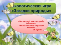 Экологическая игра 4 класс