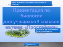 Презентация по биологии Простейшие (5 класс)