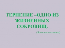 Презентация Терпение - одно из жизненных сокровищ