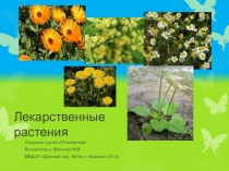 Презентация проекта по экологии