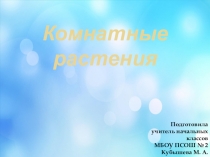 Комнатные растения