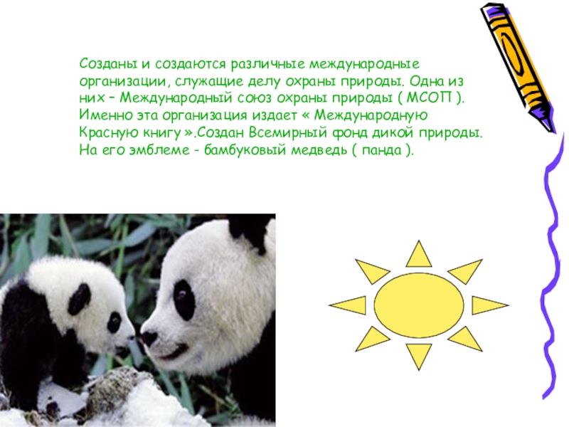 Красота природы Созданы и создаются различные международные организации, служащие делу охраны природы. Одна Созданы и создаются различные международные организации, служащие делу охраны природы. Одна из них – Международный союз охраны
