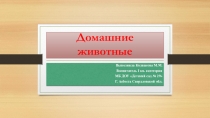Презентация Домашние животные для детей старшей группы