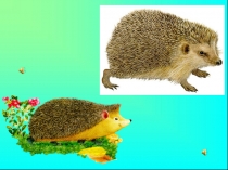 Презентация к занятию  Находчивый Ёжик