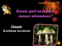 Интеллектуальный марафон Прекрасное рядом