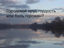 Проектная работа на тему Городской пруд-гордость или боль горожан?