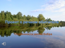 Презентация по окружающему миру Особенности жизни бобра