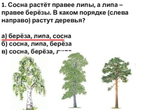 Презентация Подготовка к олимпиаде по математике (1 класс) Работа 3.