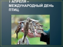 Презентация К Всемирному Дню птиц