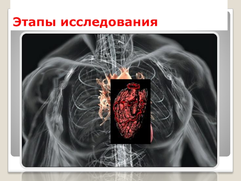 Исследовательская работаКогда сердце отдыхает? Этапы исследования Этапы исследования