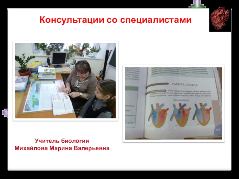 Исследовательская работаКогда сердце отдыхает? Учитель биологииМихайлова Марина ВалерьевнаКонсультации со специалистами Учитель биологииМихайлова Марина ВалерьевнаКонсультации со специалистами