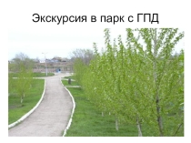 Презентация Экскурсия в парк