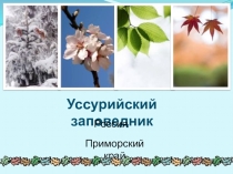 Презентация по окружающему миру на тему Уссурийский заповедник
