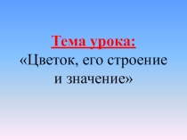 Цветок, его строение и значение.