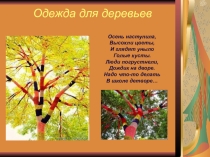Проект Одежда для деревьев