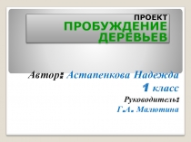 Проект Пробуждение деревьев выполнила ученица 1 класса Астапенкова Надежда