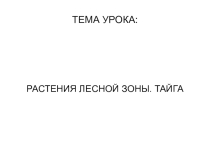 Растительный мир лесной зоны. Хвойные леса (тайга),(коррекционная школа)