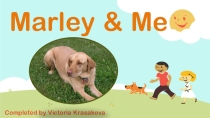 Презентация к выступлению о прочитанной на английском языке книге Marley and Me