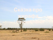 Презентация по английскому языку Present Simple