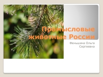 Презентация промысловые животные Росии