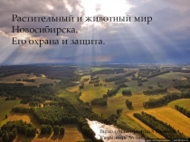 Презентация по географии на тему Растительный и животный мир Новосибирской области