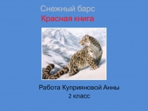 Презентация по окружающему миру Снежный барс (2 класс)