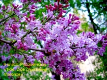 1-ое, 2-ое спряжение глаголов.