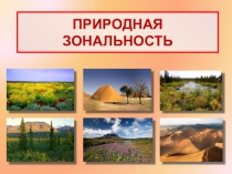 Презентация по географии на тему Природная зональность (7 класс)