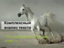Урок 2 (Подготовка к ОГЭ. Комплексный анализ текста. Тест) - ПРЕЗЕНТАЦИЯ