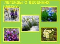 Презентация по окружающему миру