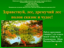 Экологический проект на тему: Здравствуй, лес, дремучий лес полон сказок и чудес!