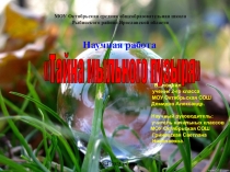 Презентация к научной работе Тайна мыльного пузыря