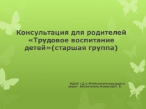 Презентация Консультация для родителей Трудовое воспитание детей (старшая группа)