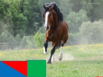 Звуки т, т`. Буквы Т, т.