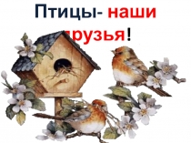 Презентация  Птицы- наши друзья