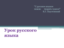 Презентация по русскоиу языку на тему Именительный и винительный падеж имен существительных