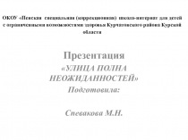 Презентация по ПДД Улица полна неожиданностей