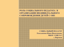 Роль социального педагога в организации индивидуального сопровождения детей с ОВЗ