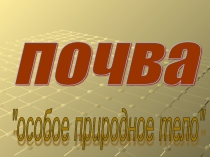 Презентация по географии на тему Почва 8 класс